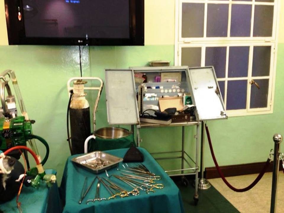 Heart Museum in Groote Schuur Hospital, Cape Town  (2).jpg